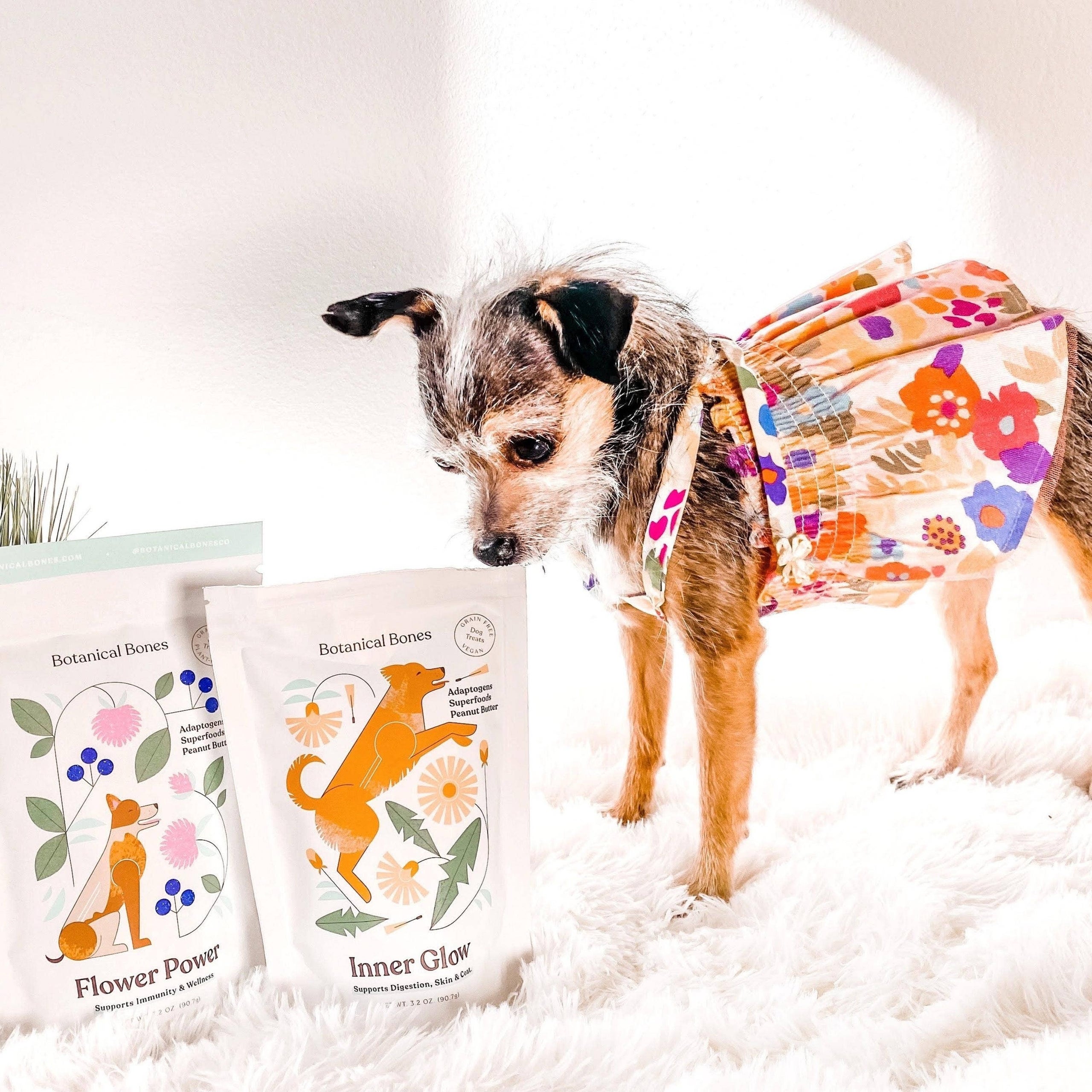 Superfood dog treats on sale